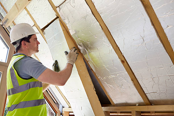 Best Insulation for Commercial Buildings  in Palestine, TX